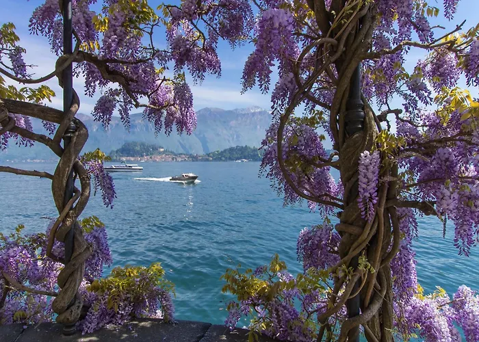 Clubhouse Casa vacanze Menaggio
